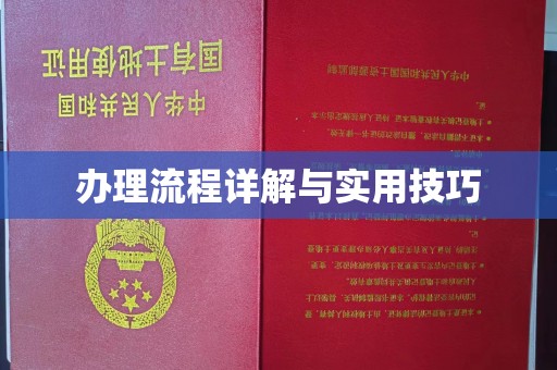 诸暨办理流程详解与实用技巧